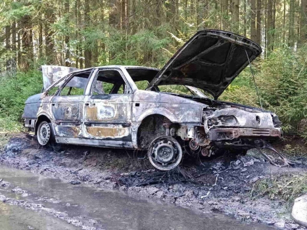Угнанный Passat нашли сгоревшим в лесу в Витебской области Угнанный Passat нашли сгоревшим в лесу в Витебской области