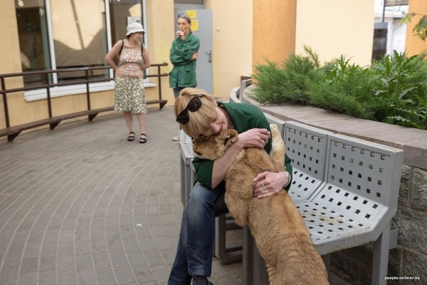 В минском зоопарке ко львенку, потерявшему маму, подселили щенка