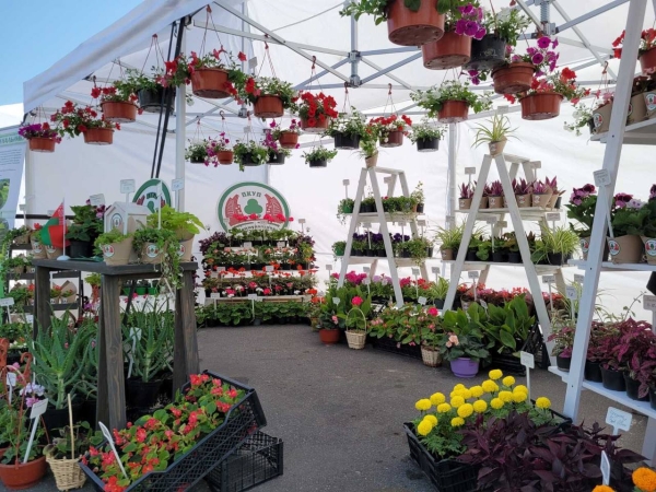 В Бресте на площадке у торгового центра «ЭКВАТОР» проходит выставка-ярмарка «Садовый маркет»