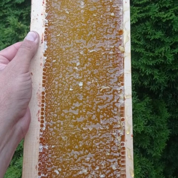 Увлечение родом из детства: как пчеловод из Кобрина продолжает дело родителей