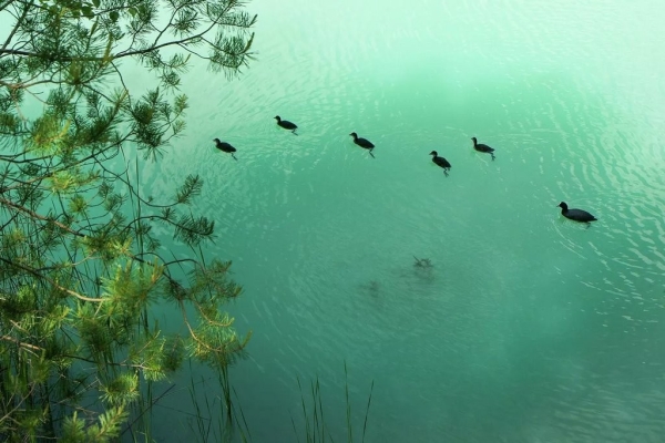 Отдых на белорусских Мальдивах — чем сейчас привлекают меловые карьеры