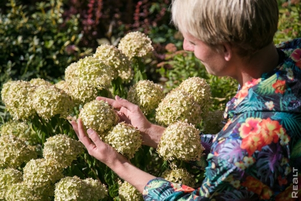 «Высадил рассаду на 11 тысяч долларов». Как обычный парень из Бреста создал сад с тысячами растений на 2 гектарах