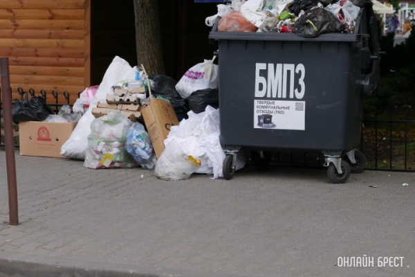Проверьте, правильно ли вы выбрасываете пластиковую упаковку