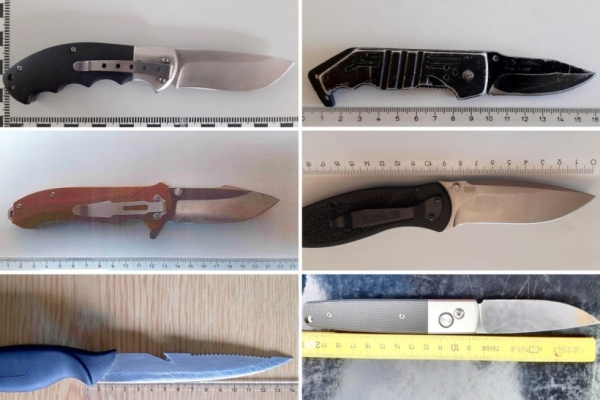 На границе Германии и Австрии у белоруса на фуре изъяли нож