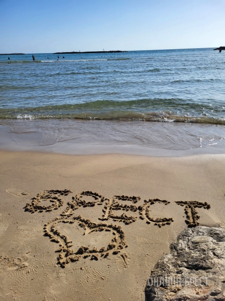 
                Читатель: Привет Бресту из Израиля, Тель-Авив
            