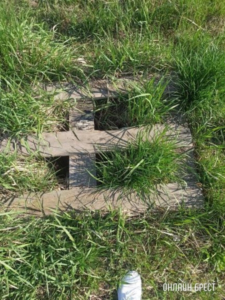 
                Читатель: хочу поделиться такой проблемой, дабы избежать последствий
            